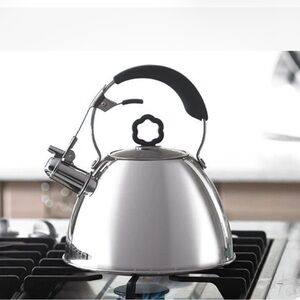 Sleek Silver Tea Kettle with Black Handle